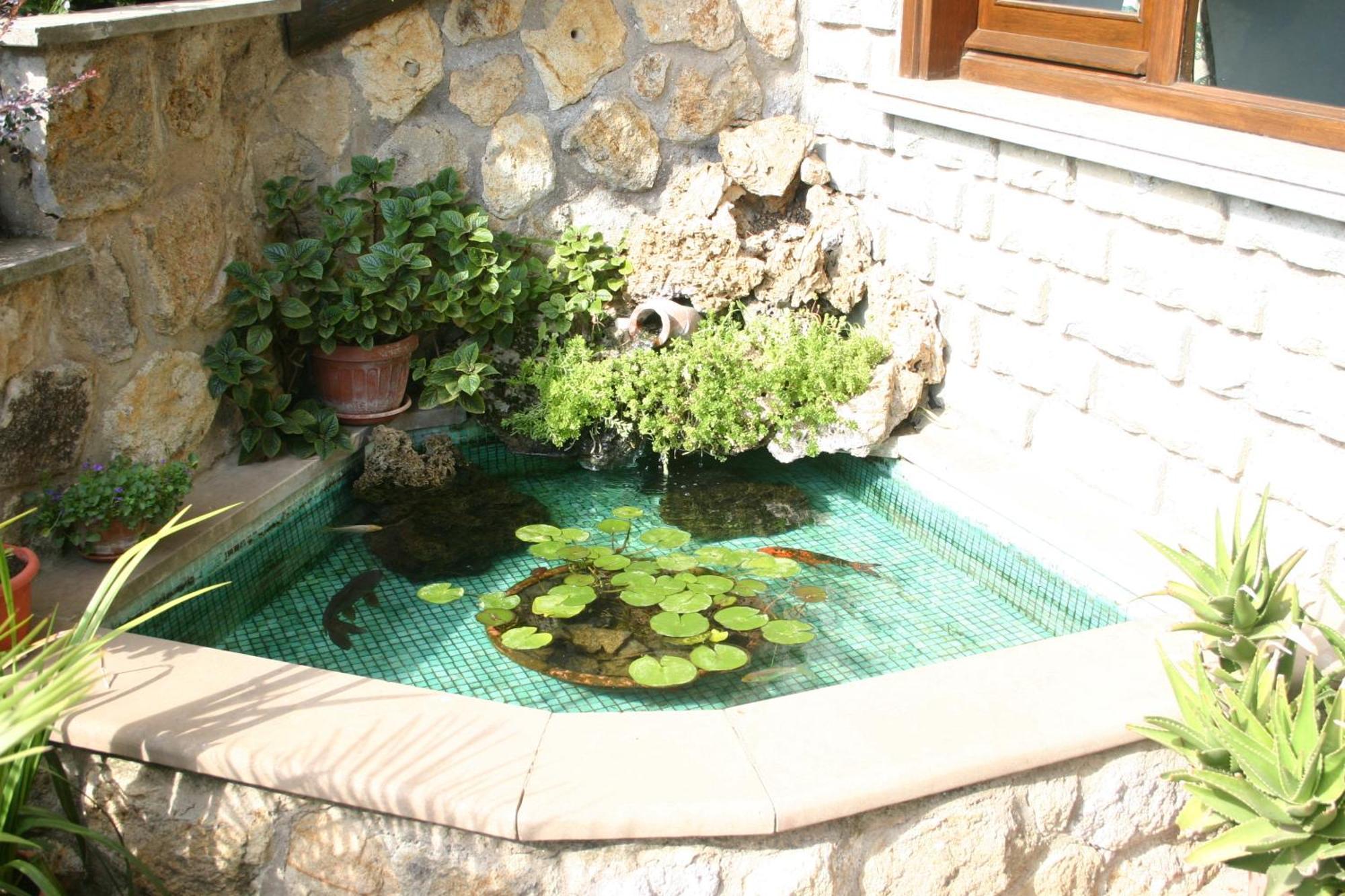 B&B Le Palme Bassano Romano Екстериор снимка